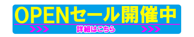 saitamainfosale